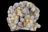 Cactus Quartz (Amethyst) Cluster - South Africa #113407-1
